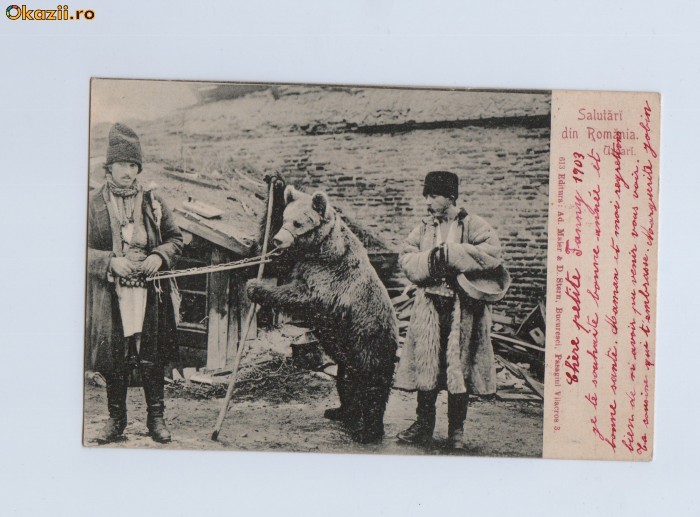 URSARI-SALUTARI DIN ROMANIA-CLASICA-1903 foto mare