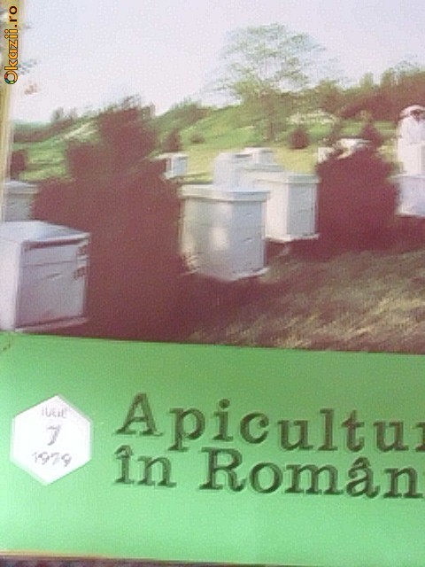 APICULTURA IN ROMANIA -IULIE 1979 foto mare