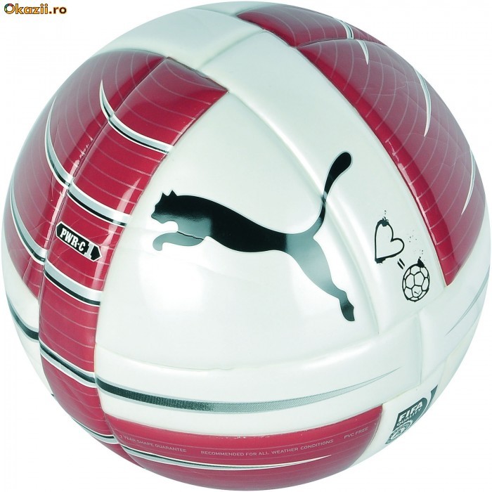 Minge Puma Rapid PowerCat 08183601 - Id: 7006 foto mare