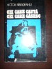 CEI CARE CAUTA , CEI CARE GASESC VICTOR BIRLADEANU CEI CARE CAUTA , CEI CARE GASESC VICTOR BIRLADEANU