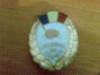 insigna de veteran de razboi