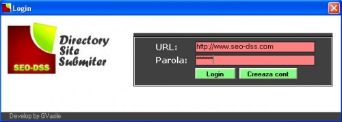 Seo-Dss solutia software pt optimizare site foto mare