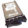 HDD Server SCSI, IBM 36. 4GB, 10000 Rpm