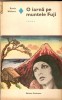 Erwin Wickert-O iarna pe muntele fuji