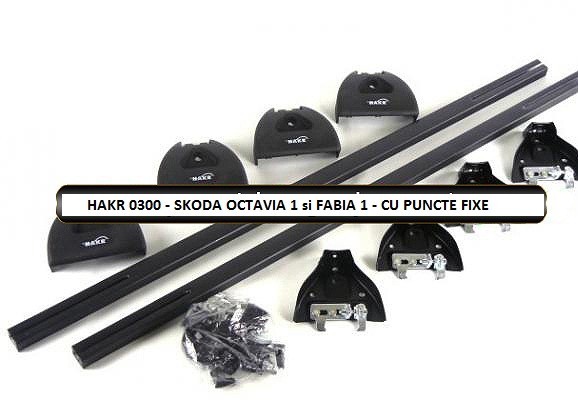 Portbagaj Skoda Fabia - Auto, moto si ambarcatiuni