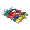 AI O PETRECERE IN DISCOTECA? PARTY KIDS? FLUIERE MULTICOLORE PT.PARTY!