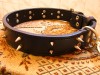 Curea zgarda lesa (PIELE)  caine de talie mijlocie - mare rottweiler amstaff mastiff canecorso pitbull etc