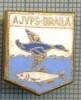 146 INSIGNA -AJVPS -BRAILA (pentru vanatori si pescari) -starea care se vede