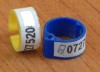 Abtipilduri - Viniete cu Nr de Telefon Personalizate pt Porumbei