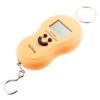 OFERTA!!! Cantar electronic portabil - pana la 40 kg - bucatarie, pescari, piata...