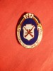 Insigna Pionier RPR Prieten al Trupelor de Securitate - F.Rara!